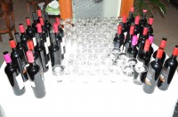 Φωτογραφίες από το θεματικό εργαστήριο.